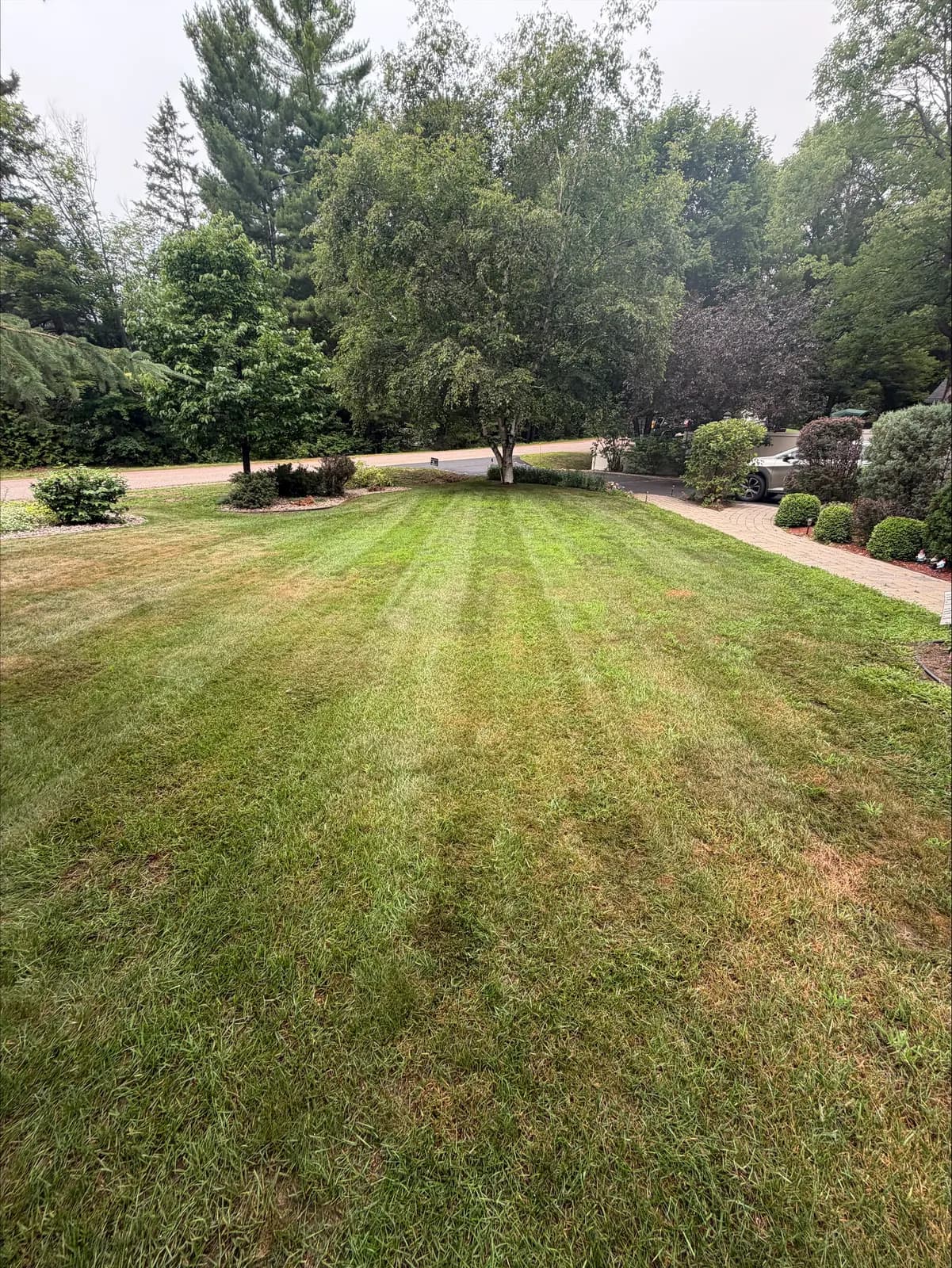 Freshly mowed front lawn with crisp mowing stripes in Pembroke Ontario