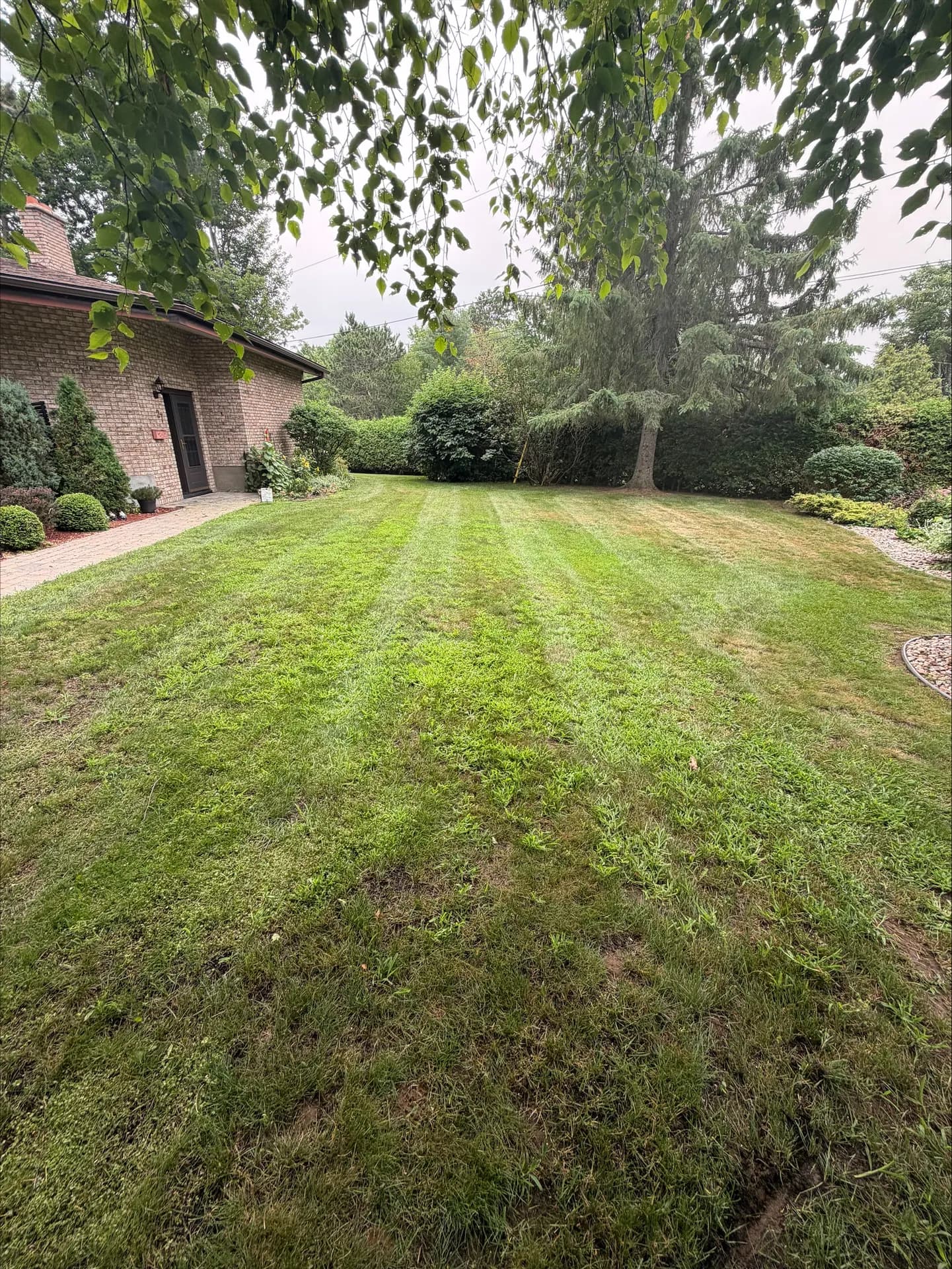 Fresh mow stripes across a manicured backyard of a brick home in the Ottawa Valley
