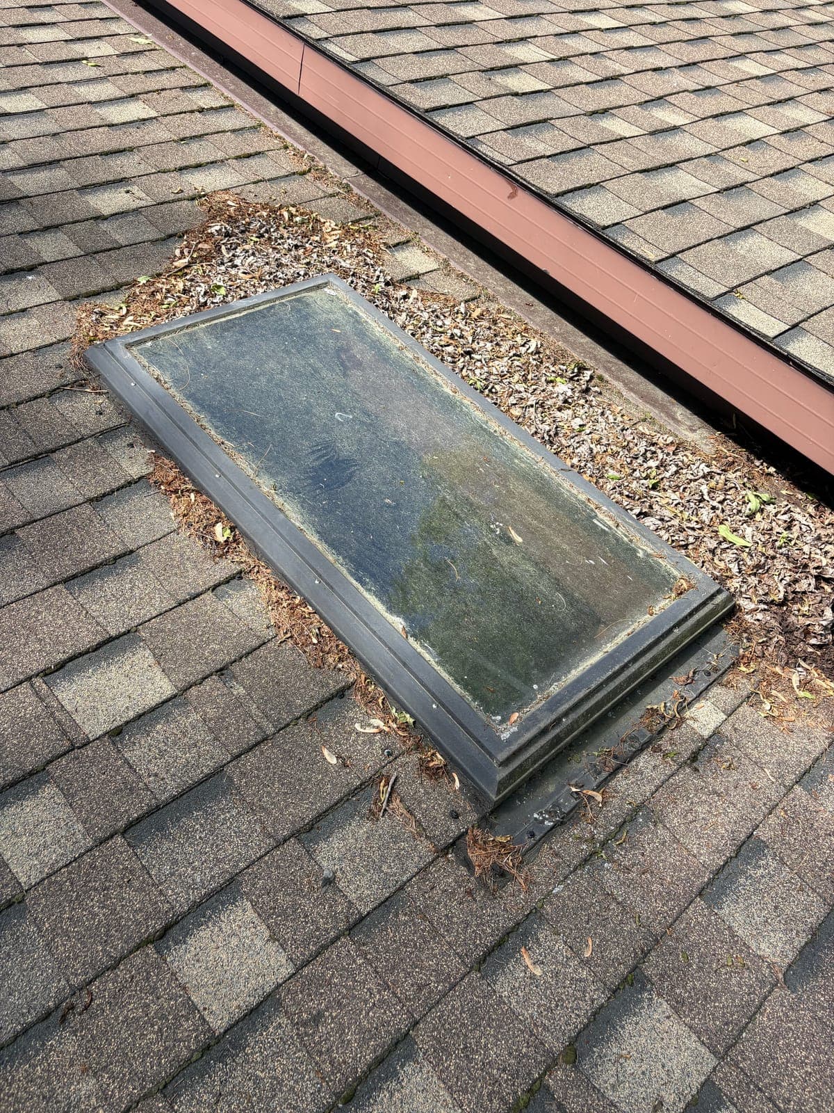 Skylight choked with leaves and debris before a PVS cleaning